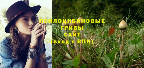 винт Карпинск