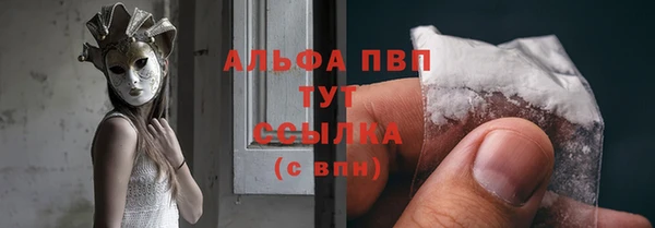 винт Карпинск