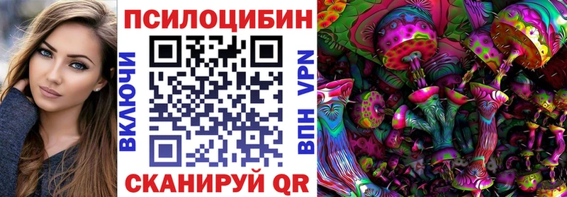 Псилоцибиновые грибы MAGIC MUSHROOMS  Купить где  Суджа 